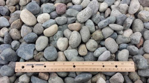 Filter Gravel 1½ x ¾ Inch (3)